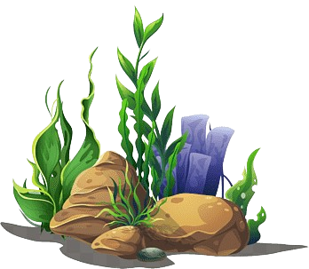 ASSET Logo